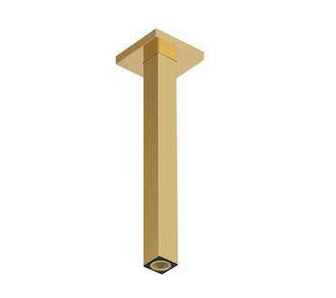 Hansgrohe  - Sprchové rameno stropní, 31 cm, leštěný vzhled zlata 24339990
