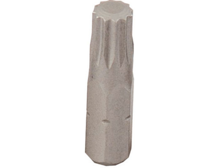 PROJAHN Bit tisicihran M6x25mm 1/4