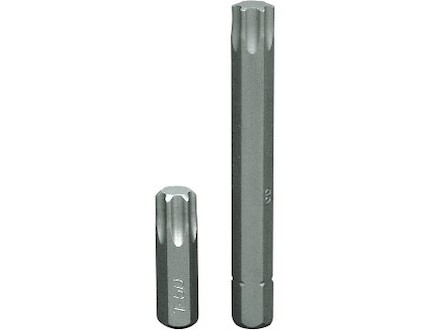 PROJAHN Bit TORX T40x30mm/10mm náhon 305640