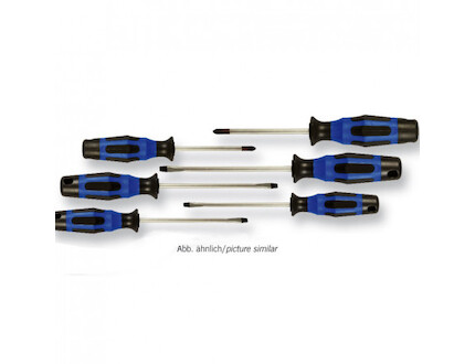 PROJAHN Sada šroubováků 6 dílů, PH+Ploché 4621