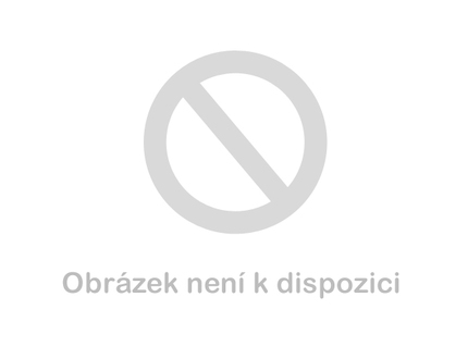 PROJAHN Záhlubník do dřeva 4mm 33604