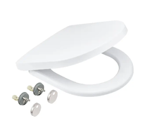 Grohe Solido - WC sedátko, SoftClose, alpská bílá 42473000