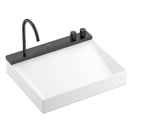 Hansgrohe Avalegra - Umyvadlo 58x48 cm, s termostatickou baterií a sprškou, 2 proudy, bez přepadu, kartáčovaný černý chrom 22472