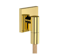 Hansgrohe FixFit Fine E - Nástěnné kolínko, leštěný vzhled zlata 28883990