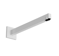 Hansgrohe Příslušenství - Sprchové rameno, 41 cm, matná bílá 24337700