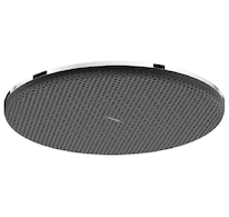 Hansgrohe Raindance Alive S - Hlavová sprcha, průměr 30 cm, chrom 24520000