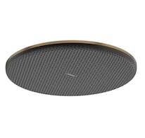 Hansgrohe Raindance Alive S - Hlavová sprcha, průměr 30 cm, EcoSmart+, kartáčovaný bronz 24523140