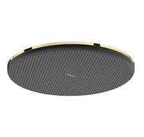 Hansgrohe Raindance Alive S - Hlavová sprcha, průměr 30 cm, EcoSmart+, leštěný vzhled zlata 24523990