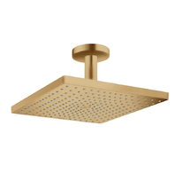 Hansgrohe Raindance E - Hlavová sprcha, 30x30 cm, EcoSmart, kartáčovaný bronz 26251140