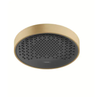 Hansgrohe Rainfinity - Hlavová sprcha 250, 1 proud, kartáčovaný bronz 26228140