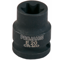 PROJAHN 1/2