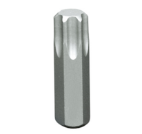PROJAHN Bit TORX T20x30mm/10mm náhon 305620