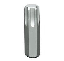 PROJAHN Bit TORX T55x75mm/10mm náhon 315655