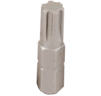 PROJAHN Bit žebrový RIBE M7x25 1/4
