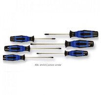 PROJAHN Sada šroubováků 6 dílů, PH+Ploché 4621