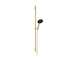 Hansgrohe Raindance Alive Select S - Set sprchové hlavice, tyče a hadice, 3 proudy, EcoSmart, leštěný vzhled zlata 24603990