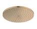 Hansgrohe Raindance S - Hlavová sprcha, průměr 24 cm, EcoSmart, kartáčovaný bronz 27624140