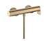 Hansgrohe Vivenis - Sprchová baterie, kartáčovaný bronz 75620140