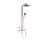 Ideal Standard Ceraflow ALU+ - Sprchový set s baterií, 26x26 cm, 2 proudy, rosé BE204RO